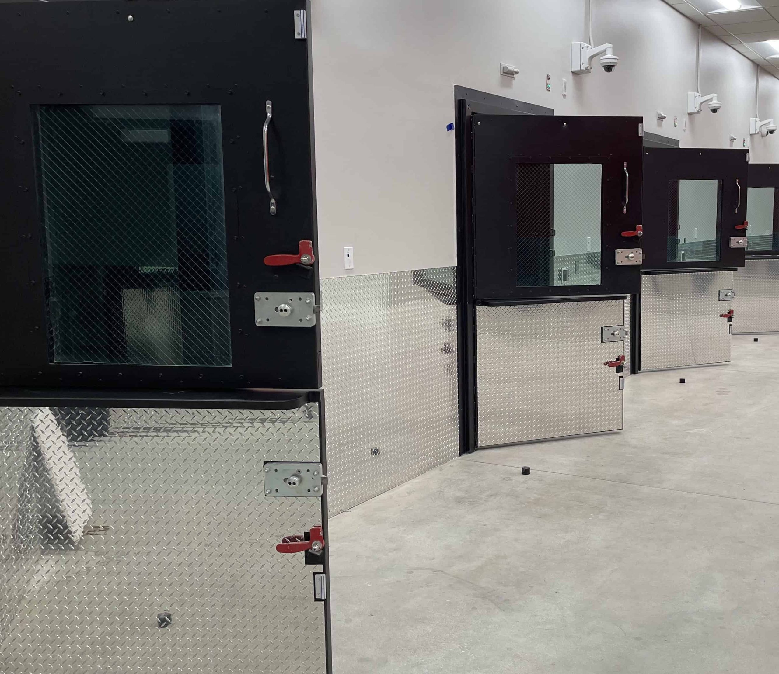 Security Doors & Windows