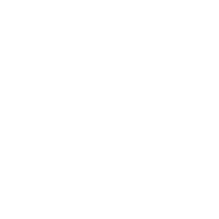 Government-Services